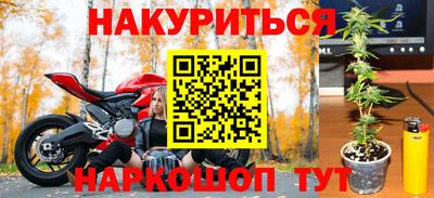 альфа пвп Владикавказ