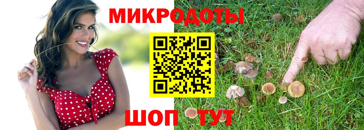 Галлюциногенные грибы Psilocybe  Вход с VPN  Кувандык  Псилоцибиновые грибы GOLDEN TEACHER 