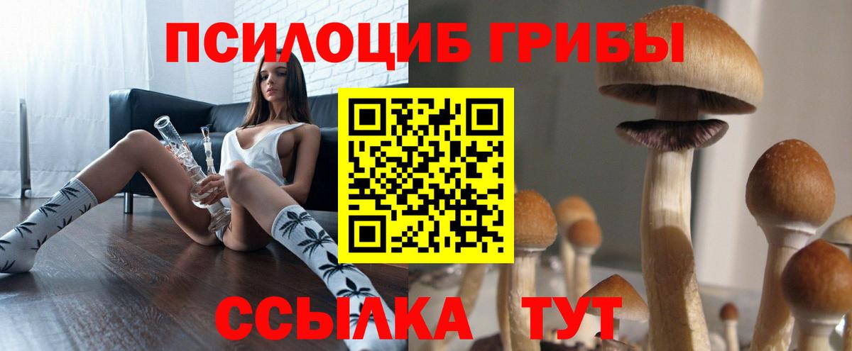 Псилоцибиновые грибы Magic Shrooms Кувандык